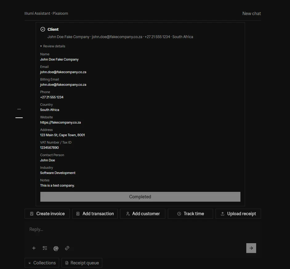 Illumi Assistant completing a client record with explicitly fictional test-company details.